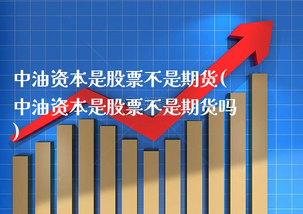 中油资本是股票不是期货(中油资本是股票不是期货吗)_https://www.boyangwujin.com_原油期货_第1张