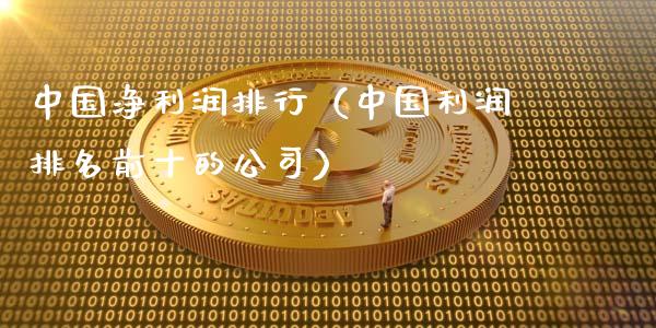 中国净利润排行（中国利润排名前十的公司）