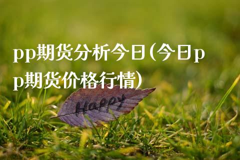 pp期货分析今日(今日pp期货价格行情)_https://www.boyangwujin.com_纳指期货_第1张