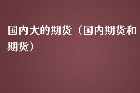 国内大的期货（国内期货和期货）