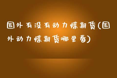 国外有没有动力煤期货(国外动力煤期货哪里看)_https://www.boyangwujin.com_原油期货_第1张
