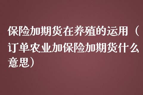 保险加期货在养殖的运用（订单农业加保险加期货什么意思）_https://www.boyangwujin.com_纳指期货_第1张