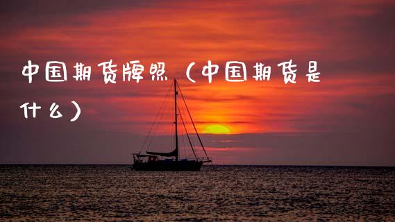 中国期货牌照（中国期货是什么）