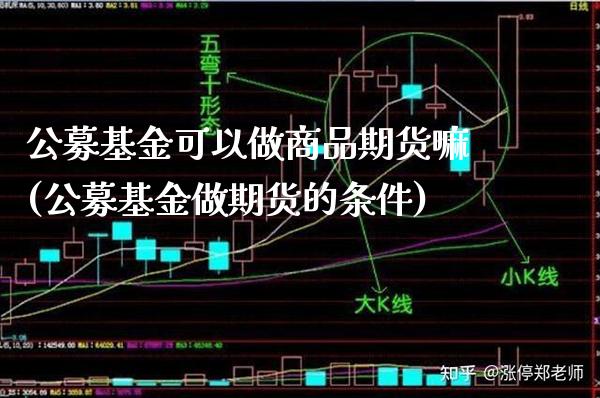 公募基金可以做商品期货嘛(公募基金做期货的条件)