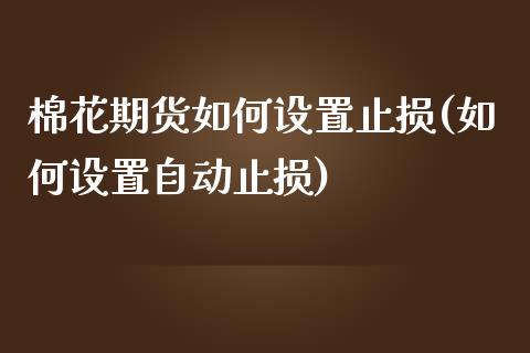 棉花期货如何设置止损(如何设置自动止损)_https://www.boyangwujin.com_期货直播间_第1张