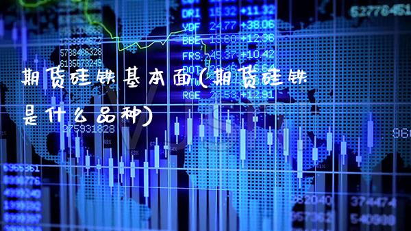 期货硅铁基本面(期货硅铁是什么品种)_https://www.boyangwujin.com_原油期货_第1张