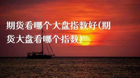 期货看哪个大盘指数好(期货大盘看哪个指数)