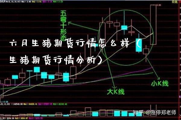 六月生猪期货行情怎么样（生猪期货行情分析）_https://www.boyangwujin.com_期货直播间_第1张