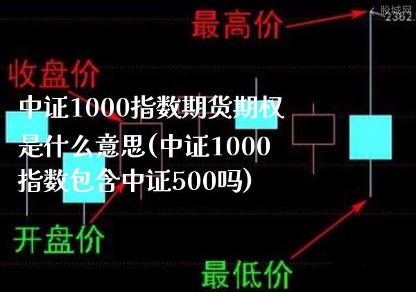 中证1000指数期货期权是什么意思(中证1000指数包含中证500吗)_https://www.boyangwujin.com_期货直播间_第1张