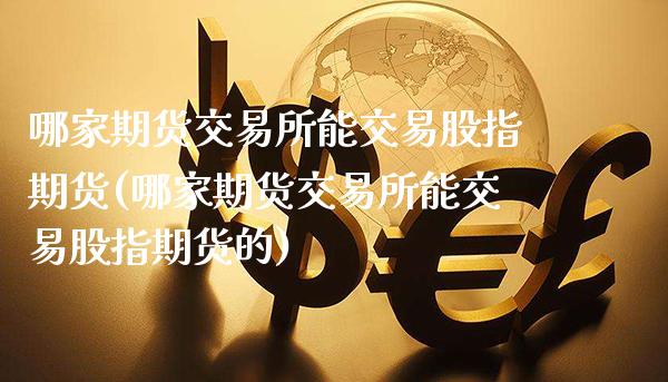 哪家期货交易所能交易股指期货(哪家期货交易所能交易股指期货的)_https://www.boyangwujin.com_黄金期货_第1张