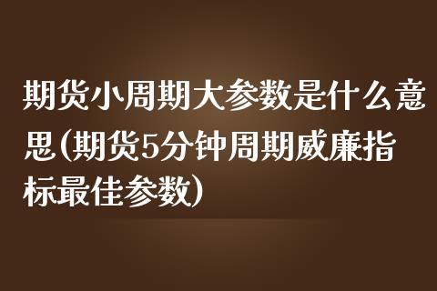 期货小周期大参数是什么意思(期货5分钟周期威廉指标最佳参数)_https://www.boyangwujin.com_恒指期货_第1张