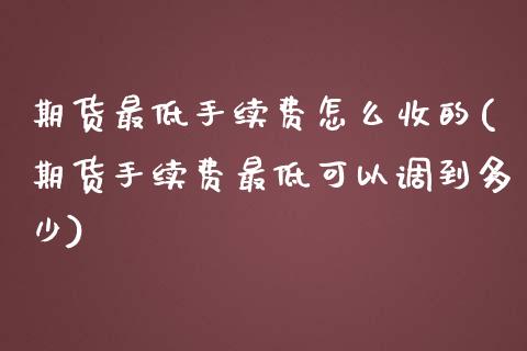 期货最低手续费怎么收的(期货手续费最低可以调到多少)_https://www.boyangwujin.com_内盘期货_第1张