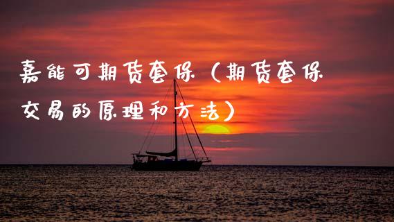 嘉能可期货套保（期货套保交易的原理和方法）