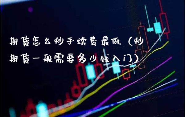 期货怎么炒手续费最低（炒期货一般需要多少钱入门）_https://www.boyangwujin.com_白银期货_第1张