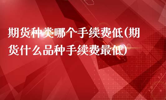 期货种类哪个手续费低(期货什么品种手续费最低)_https://www.boyangwujin.com_原油期货_第1张