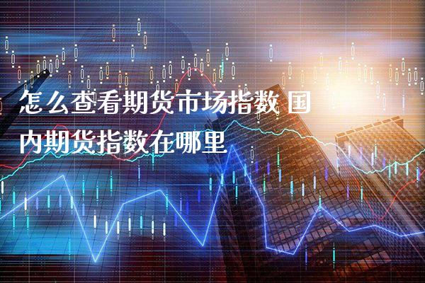 怎么查看期货市场指数 国内期货指数在哪里_https://www.boyangwujin.com_道指期货_第1张