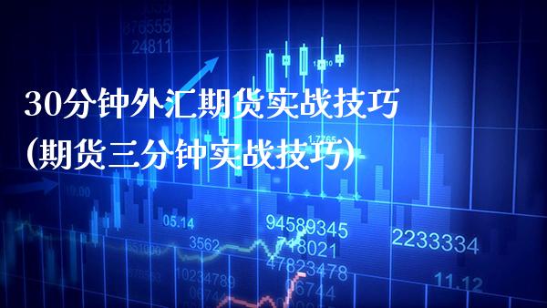 30分钟外汇期货实战技巧(期货三分钟实战技巧)