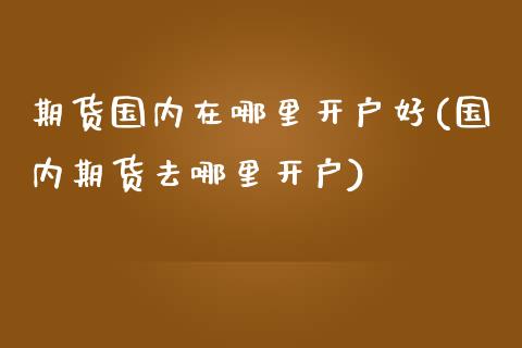期货国内在哪里开户好(国内期货去哪里开户)_https://www.boyangwujin.com_黄金期货_第1张