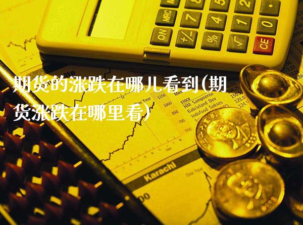 期货的涨跌在哪儿看到(期货涨跌在哪里看)