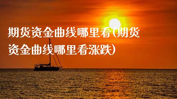 期货资金曲线哪里看(期货资金曲线哪里看涨跌)