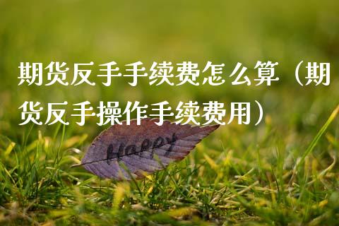 期货反手手续费怎么算（期货反手操作手续费用）