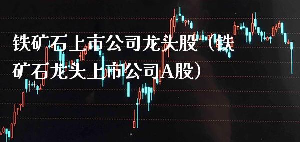铁矿石上市公司龙头股（铁矿石龙头上市公司A股）