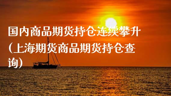 国内商品期货持仓连续攀升(上海期货商品期货持仓查询)