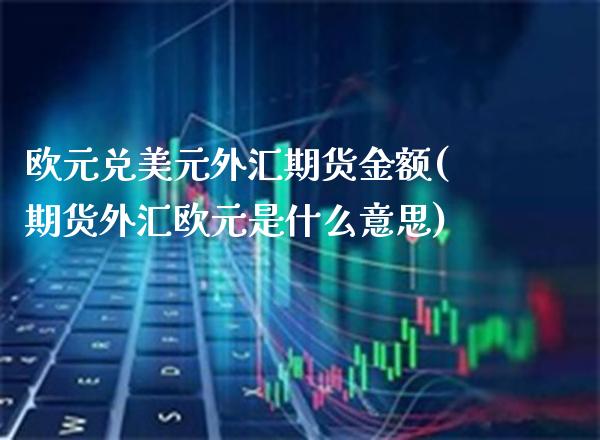 欧元兑美元外汇期货金额(期货外汇欧元是什么意思)_https://www.boyangwujin.com_原油期货_第1张