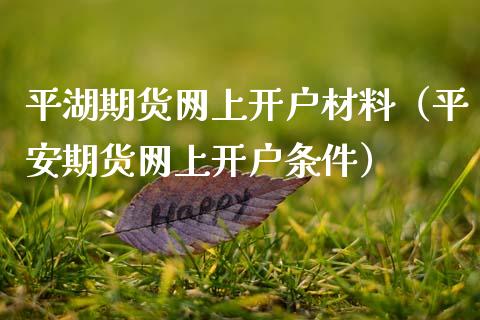 平湖期货网上开户材料（平安期货网上开户条件）_https://www.boyangwujin.com_原油期货_第1张