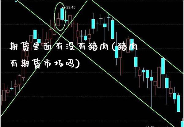 期货里面有没有猪肉(猪肉有期货市场吗)_https://www.boyangwujin.com_恒生指数_第1张