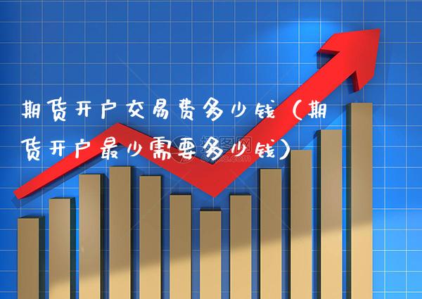 期货开户交易费多少钱（期货开户最少需要多少钱）_https://www.boyangwujin.com_期货直播间_第1张