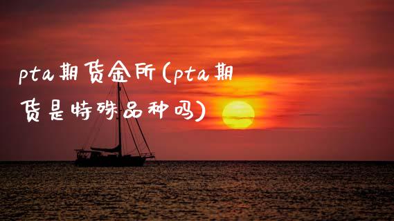 pta期货金所(pta期货是特殊品种吗)