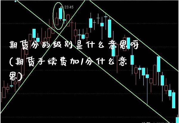 期货分的级别是什么意思呀(期货手续费加1分什么意思)_https://www.boyangwujin.com_期货直播间_第1张