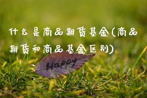 什么是商品期货基金(商品期货和商品基金区别)_https://www.boyangwujin.com_期货直播间_第1张