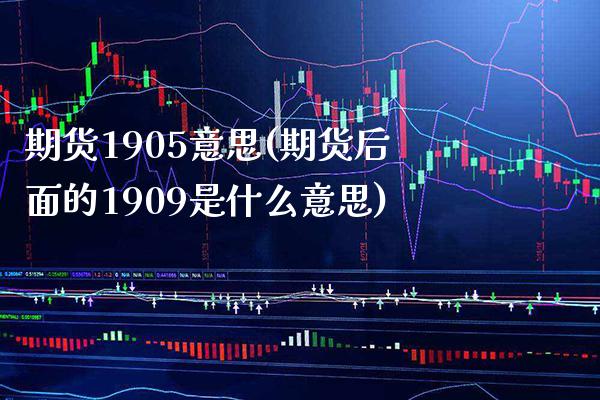 期货1905意思(期货后面的1909是什么意思)