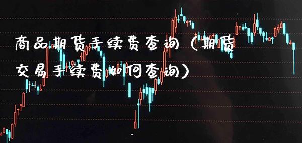 商品期货手续费查询（期货交易手续费如何查询）