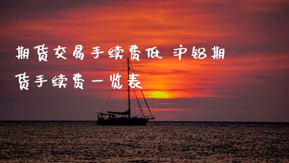 期货交易手续费低 沪铝期货手续费一览表_https://www.boyangwujin.com_期货直播间_第1张