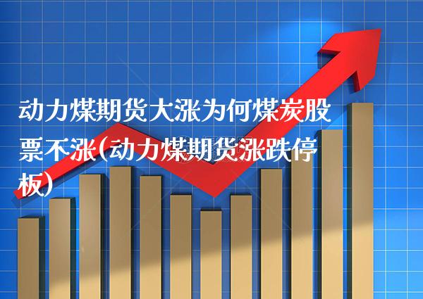动力煤期货大涨为何煤炭股票不涨(动力煤期货涨跌停板)_https://www.boyangwujin.com_白银期货_第1张