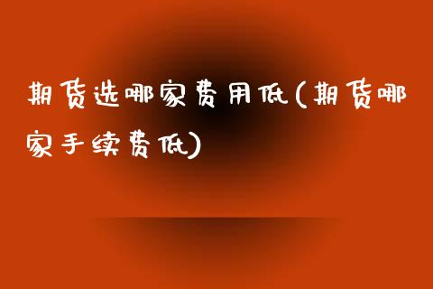 期货选哪家费用低(期货哪家手续费低)