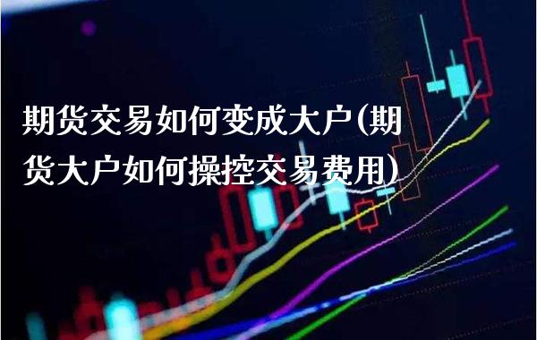 期货交易如何变成大户(期货大户如何操控交易费用)