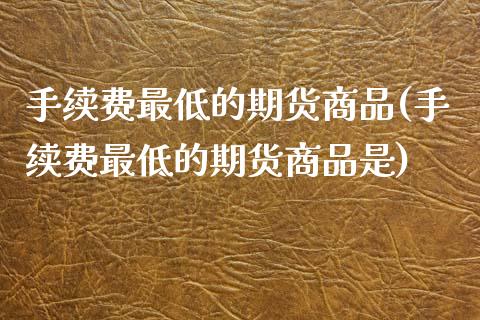 手续费最低的期货商品(手续费最低的期货商品是)