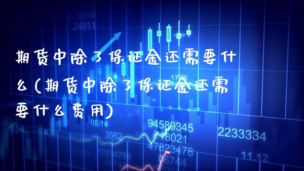 期货中除了保证金还需要什么(期货中除了保证金还需要什么费用)