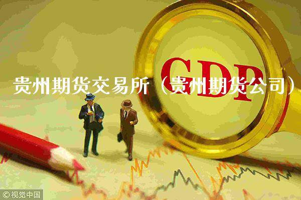 贵州期货交易所（贵州期货公司）