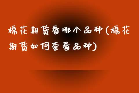棉花期货看哪个品种(棉花期货如何查看品种)_https://www.boyangwujin.com_期货科普_第1张