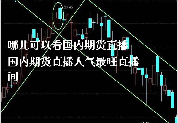 哪儿可以看国内期货直播 国内期货直播人气最旺直播间