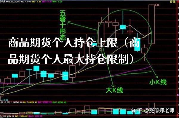 商品期货个人持仓上限（商品期货个人最大持仓限制）_https://www.boyangwujin.com_期货直播间_第1张