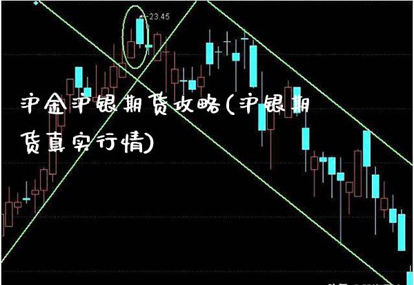 沪金沪银期货攻略(沪银期货真实行情)_https://www.boyangwujin.com_恒生指数_第1张