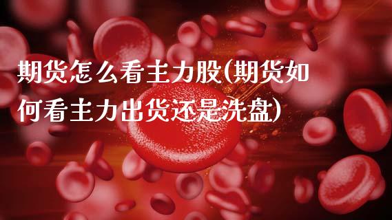 期货怎么看主力股(期货如何看主力出货还是洗盘)
