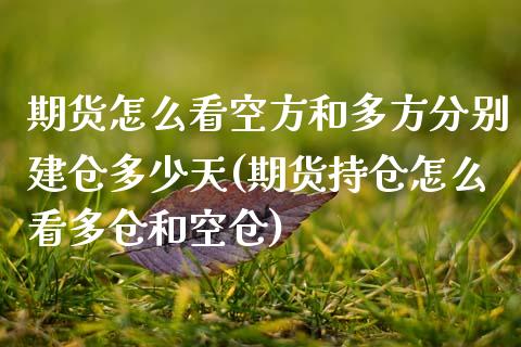 期货怎么看空方和多方分别建仓多少天(期货持仓怎么看多仓和空仓)
