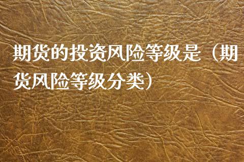 期货的投资风险等级是（期货风险等级分类）